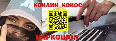 спайс Кингисепп