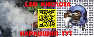спайс Кингисепп
