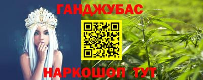 спайс Кингисепп