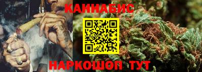 спайс Кингисепп