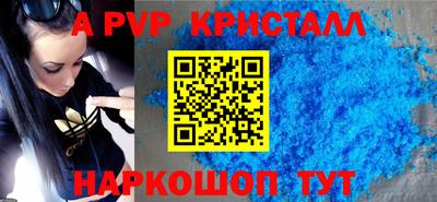 спайс Кингисепп